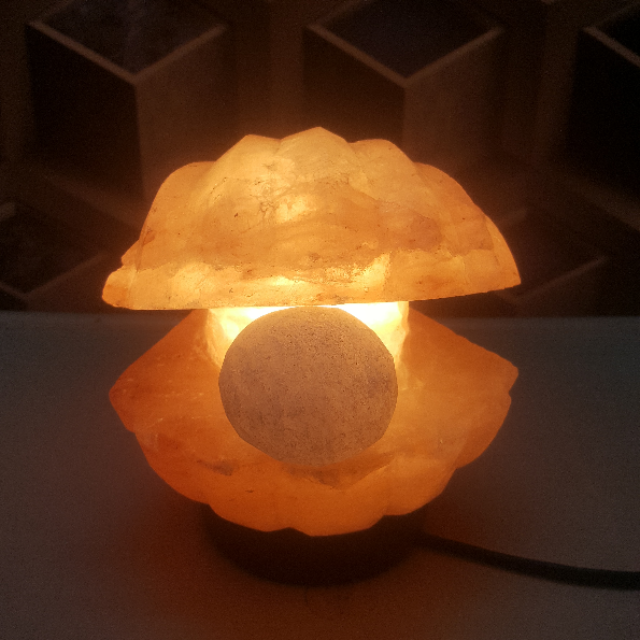 himalayan clam with pearl lamp with light
